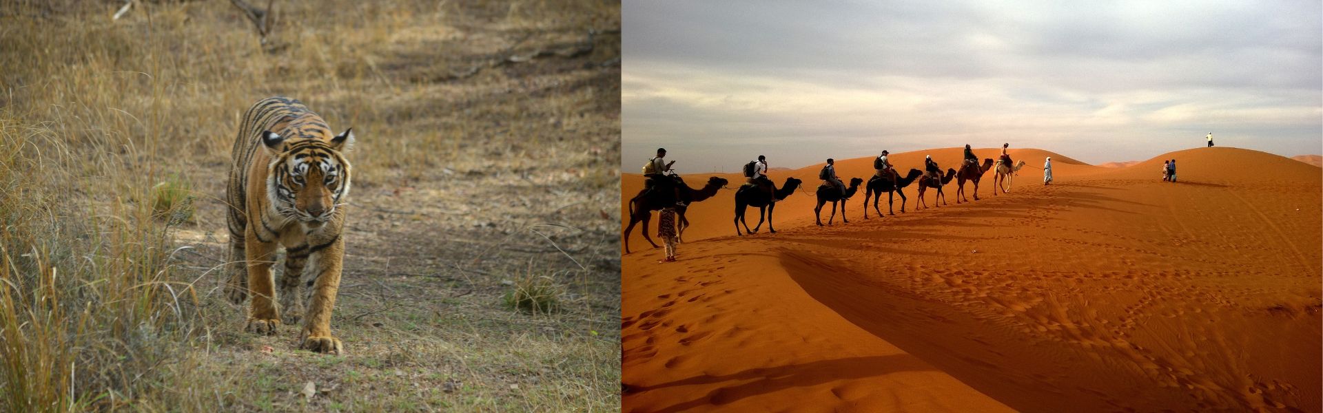 Rajasthan Comfort Tour